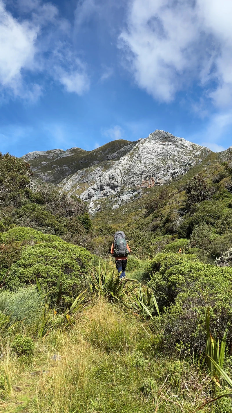 Kahurangi National Park