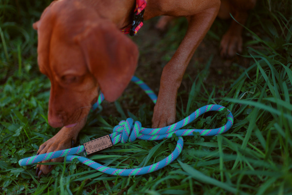 Blue Raspberry Lead