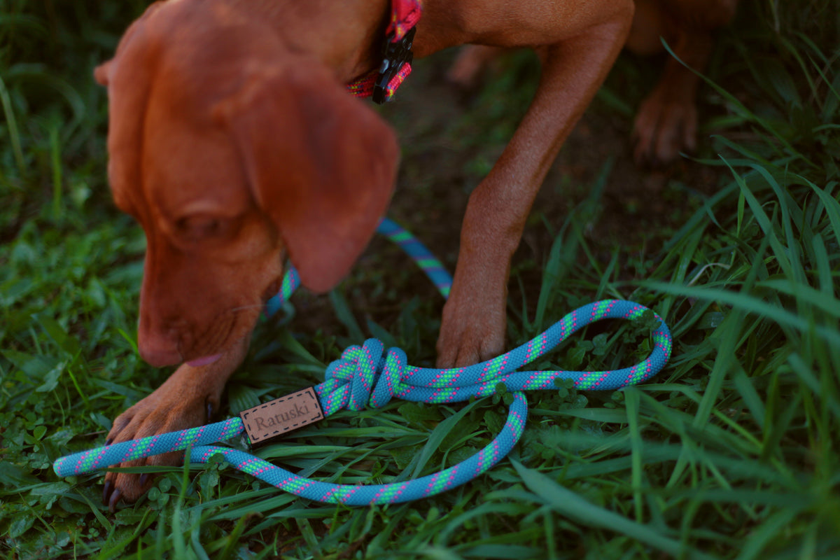 Blue Raspberry Lead