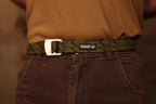 Fern Belt